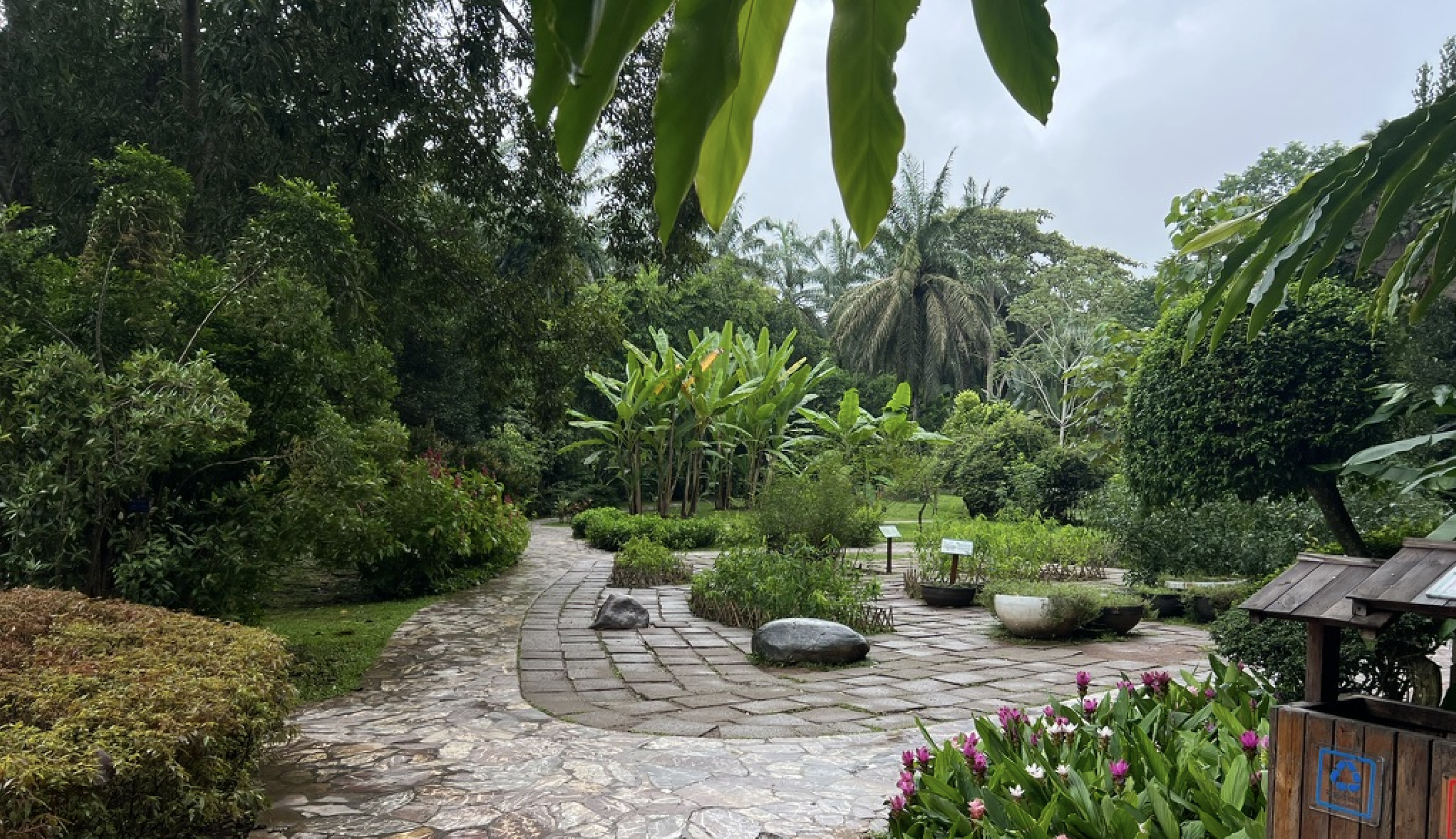 Distinctive Plant Garden overview
