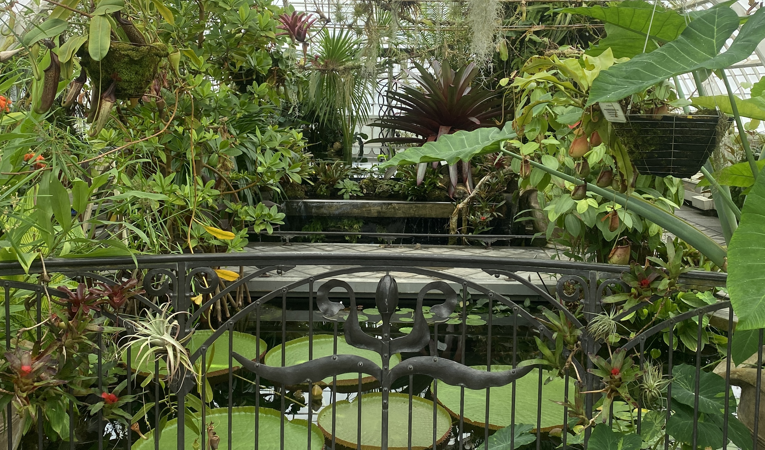 Conservatory of Flowers