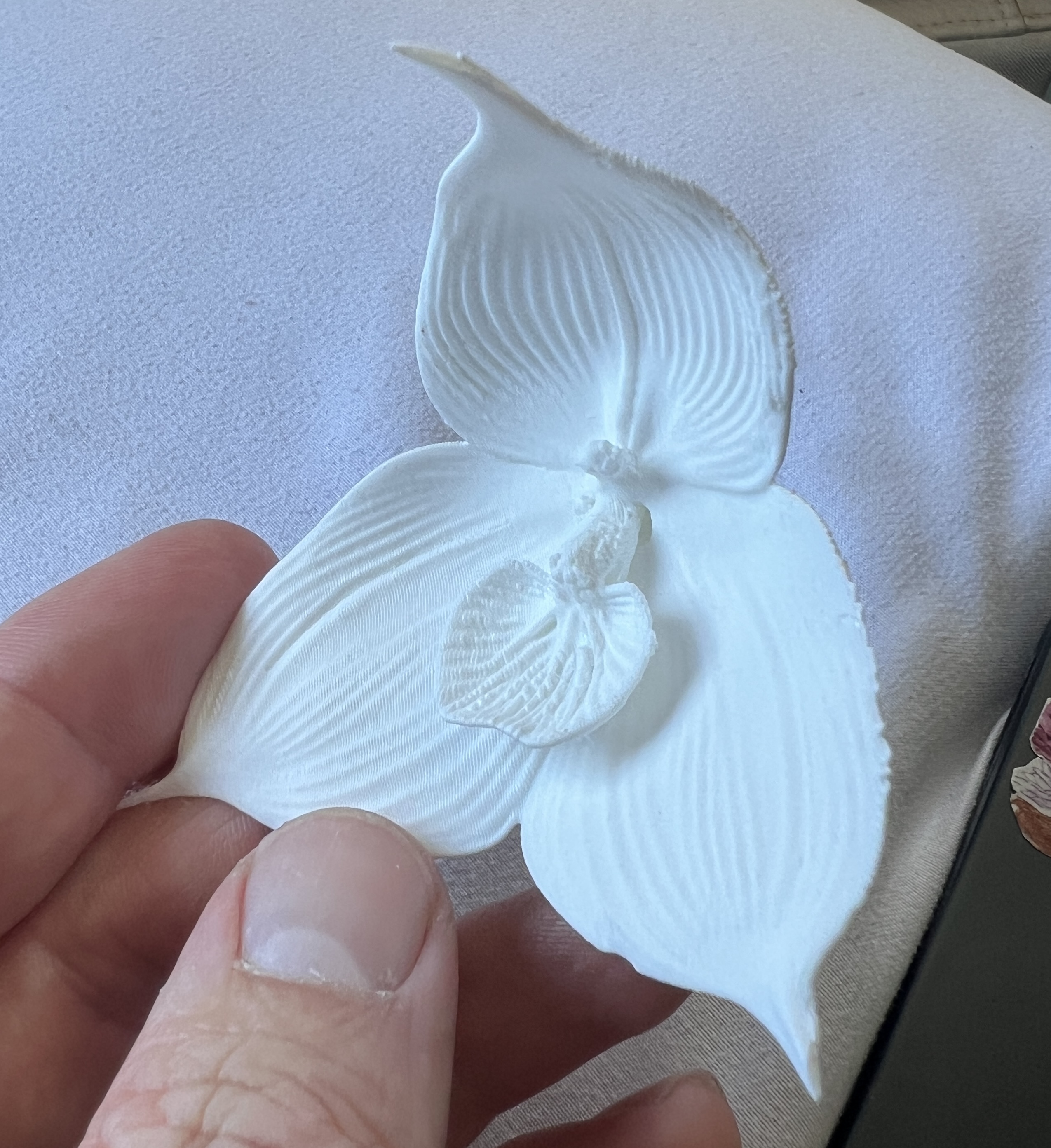 3D printed dracula orchid