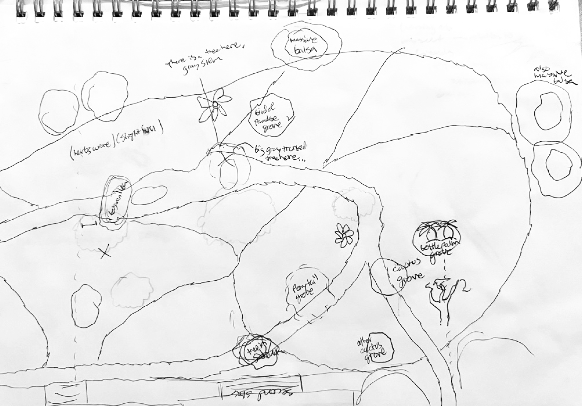 Hand-drawn site plan sketch for the Distinctive Plant Garden
